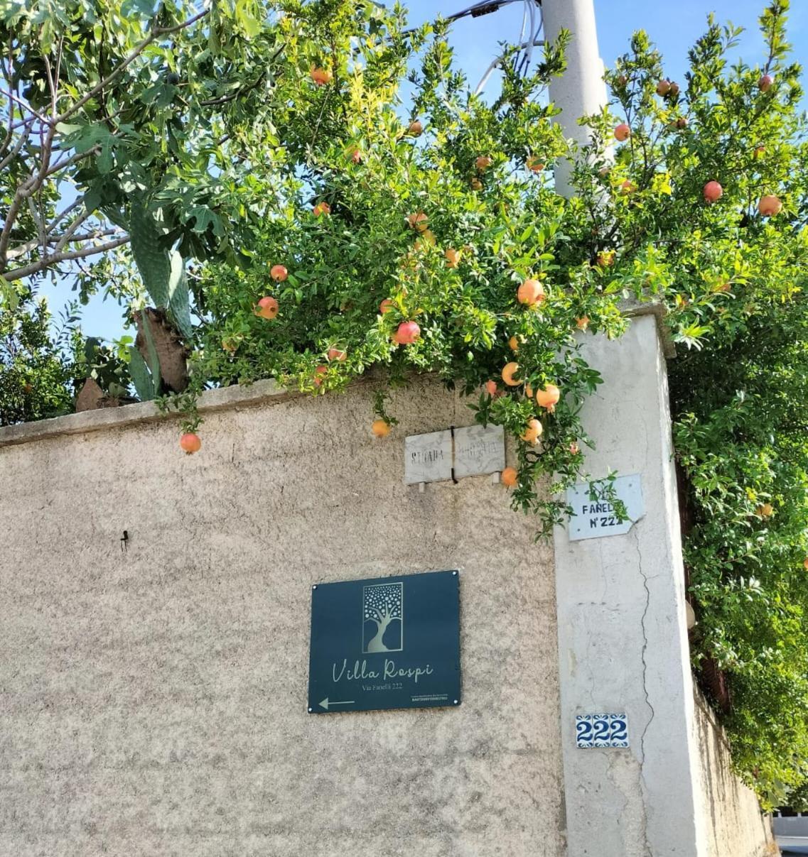 Villa Rospi Bari Exterior photo